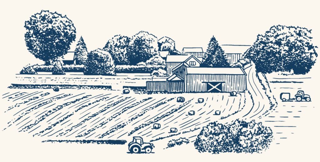 Rural Landscape Illustration